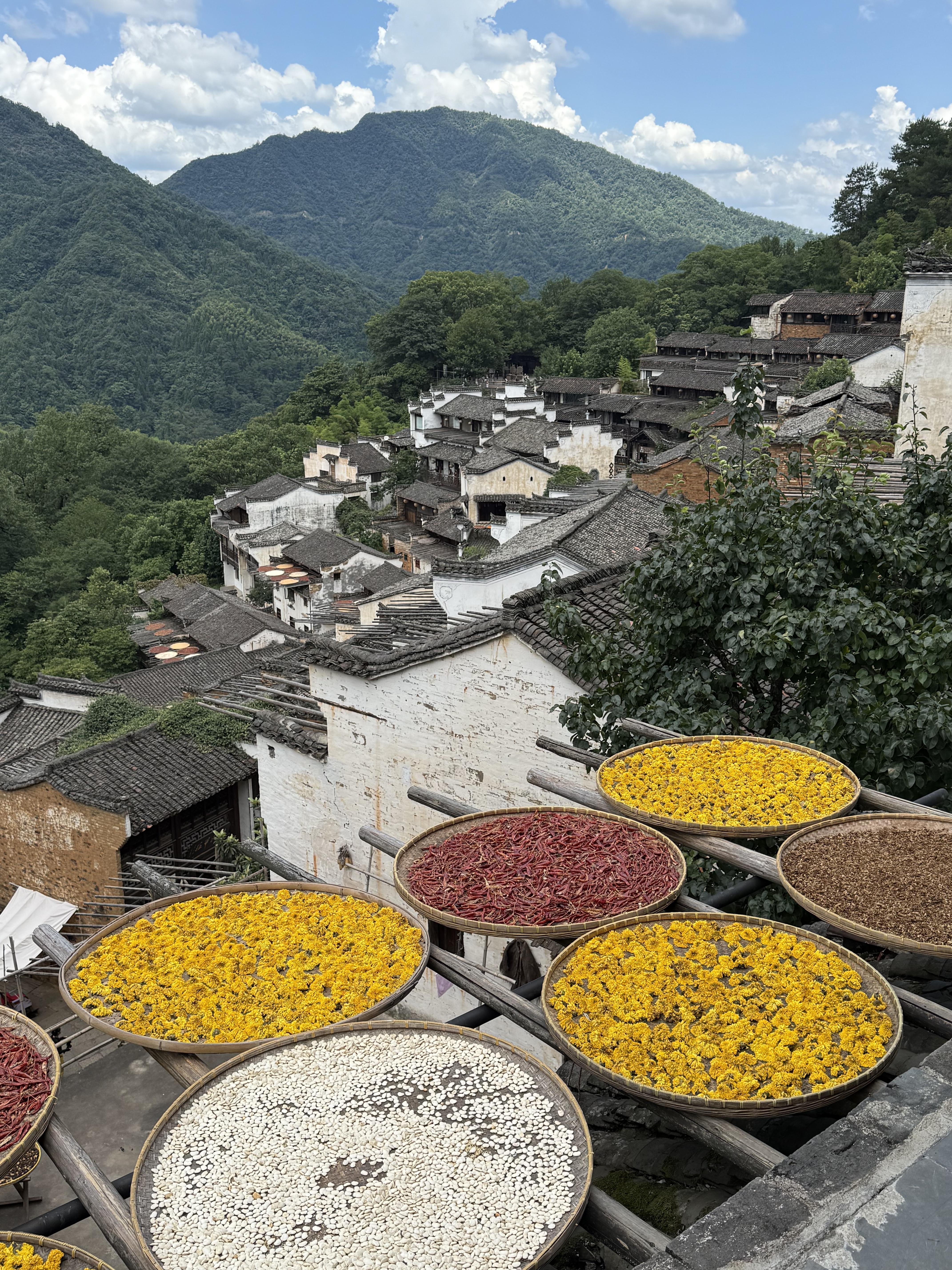 Wuyuan Autumn Harvest